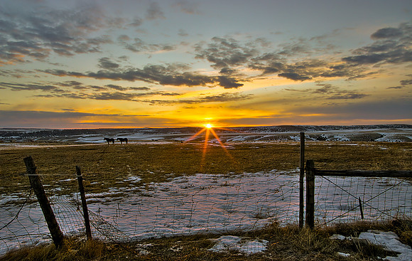 Sunrise over south hills horse pasture