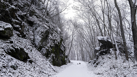 New River Trail State Park in Winter