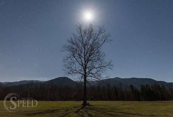 Great Smoky Mountains Winter