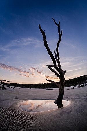 Hunting Island State Park