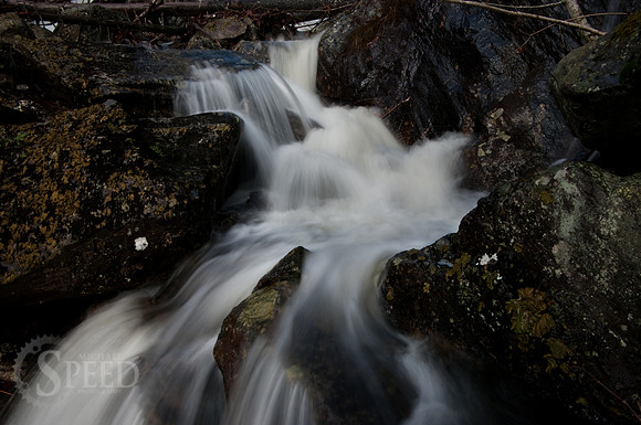 Grayson Highlands State Park