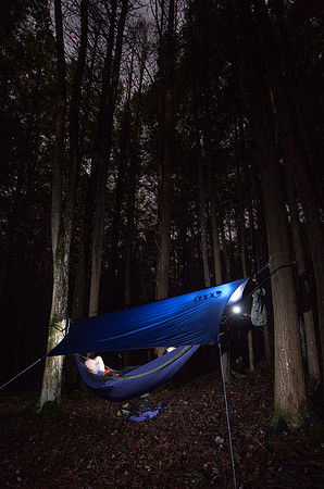 Eno Hammock at Beartree Campground