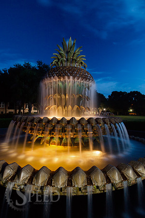 Pineapple Fountain Charleston