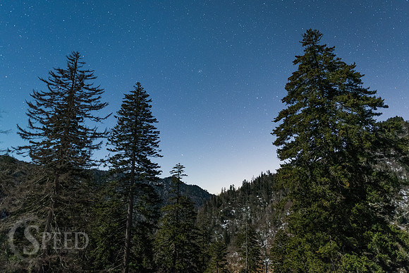 Great Smoky Mountains Winter