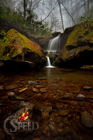 A leaf on a rock at a lower section of Grotto Falls.