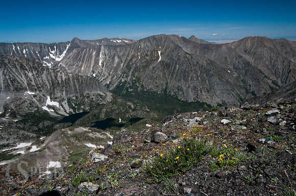 View from near Crazy Peak.  Meadows of wildflowers.