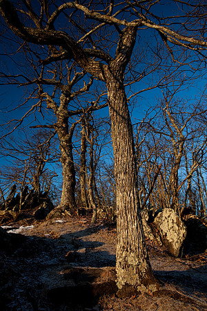 Rocky Knob Recreation Area