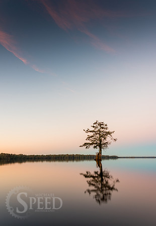 Kayak Trip to Lake Drummond in Great Dismal Swamp
