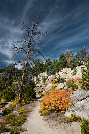 Blue Sky over Zimmerman Park, Billings Montana