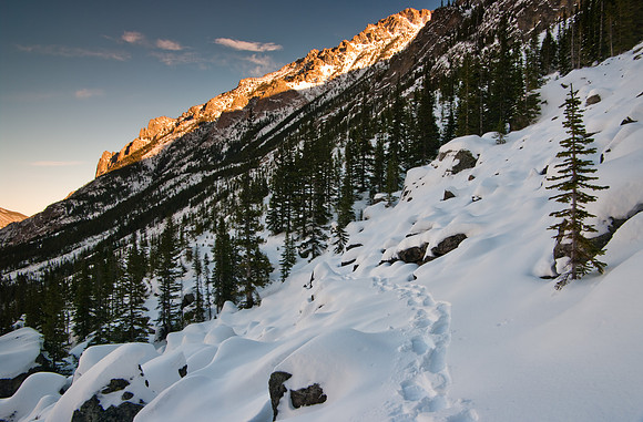 Snowshoe tracks in West Rosebud
