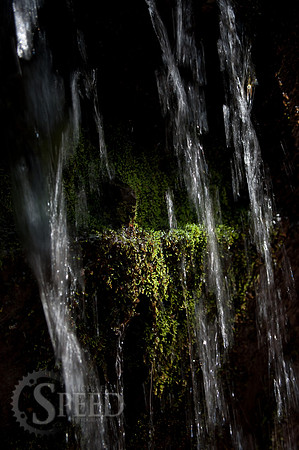 Grayson Highlands State Park