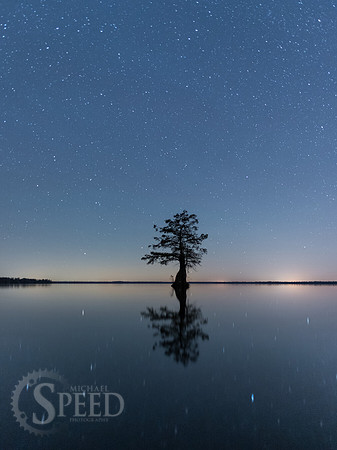 Kayak Trip to Lake Drummond in Great Dismal Swamp