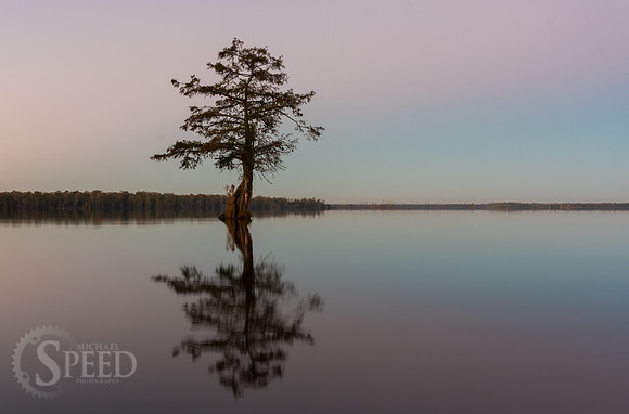 Kayak Trip to Lake Drummond in Great Dismal Swamp