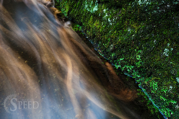 A mossy rock on the edge of Widows Creek.