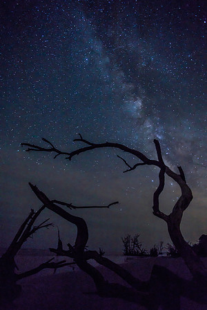 Hunting Island State Park