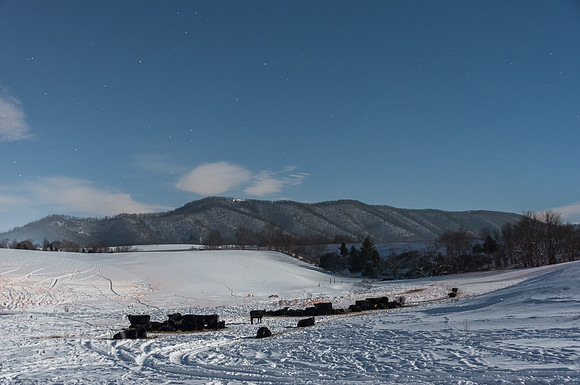 2016 Snowstorm in Southwest Virginia