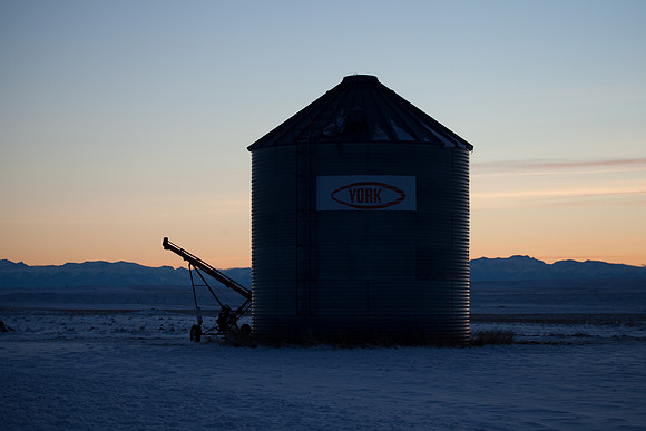 Grain bin