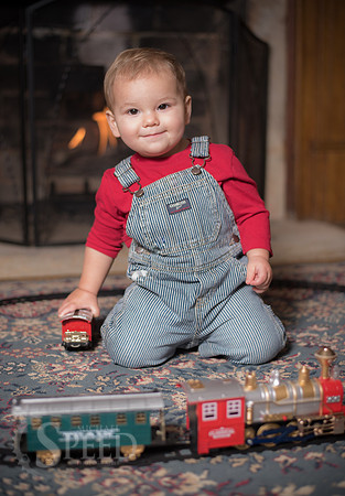 family portrait photographer