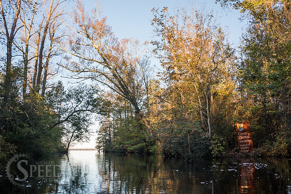 Kayak Trip to Lake Drummond in Great Dismal Swamp