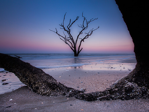 Edisto Beach Boneyard