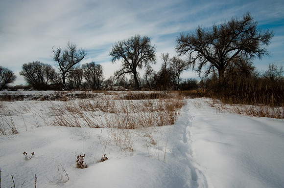 A snowy trail in Riverfront Park