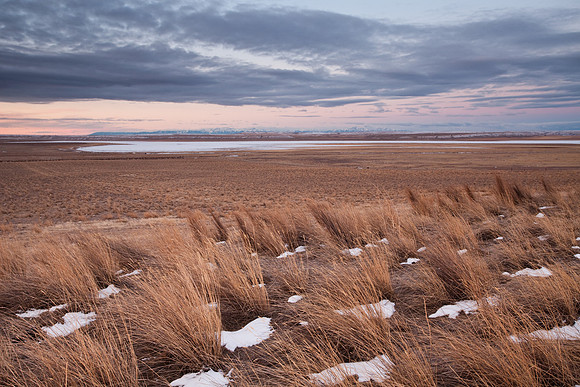 The prarie near Big Lake.  Molt, MT.