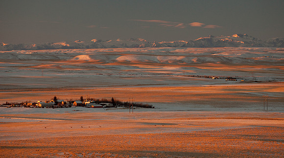 A homestead and deer near the Beartooth Mountains.