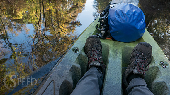 Kayak Trip to Lake Drummond in Great Dismal Swamp