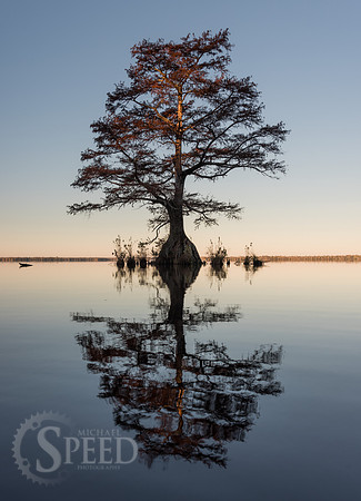 Kayak Trip to Lake Drummond in Great Dismal Swamp