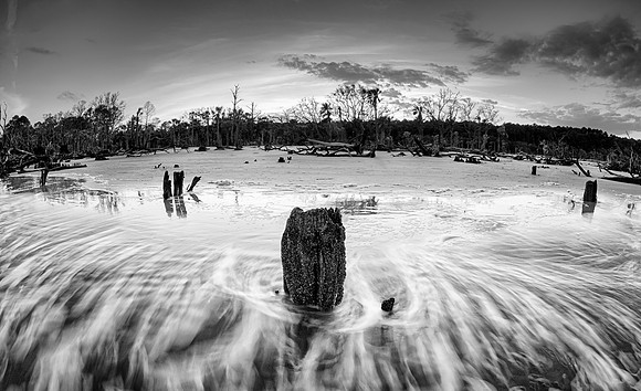 Hunting Island State Park