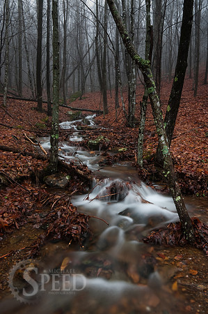 Grayson Highlands State Park