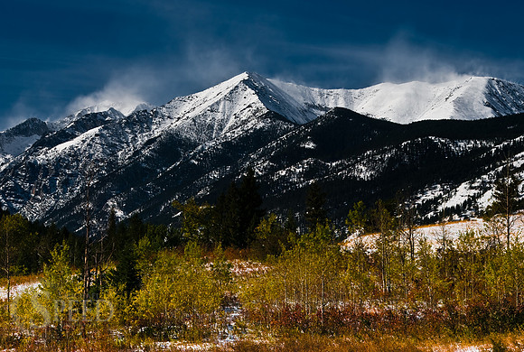 Vibrant color at the Crazy Mountains