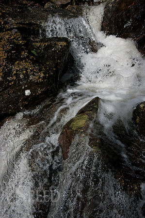Grayson Highlands State Park