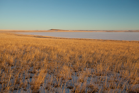 A field near Big Lake