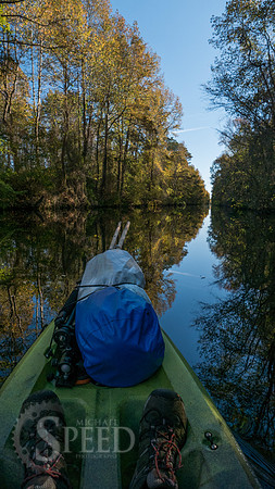 Kayak Trip to Lake Drummond in Great Dismal Swamp