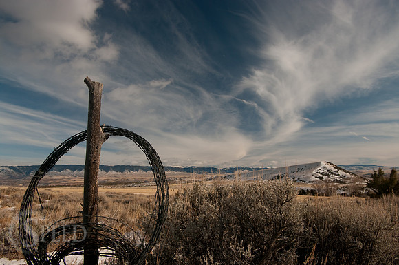 Roll of barbed wire on a fence post in Bighorn Canyon