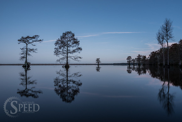 Kayak Trip to Lake Drummond in Great Dismal Swamp