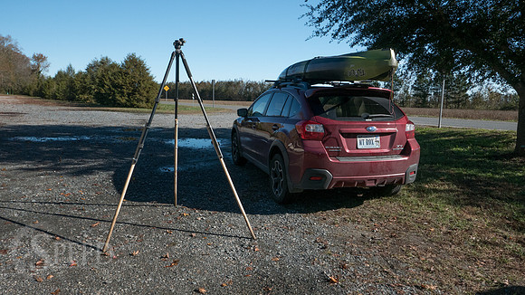 Kayak Trip to Lake Drummond in Great Dismal Swamp