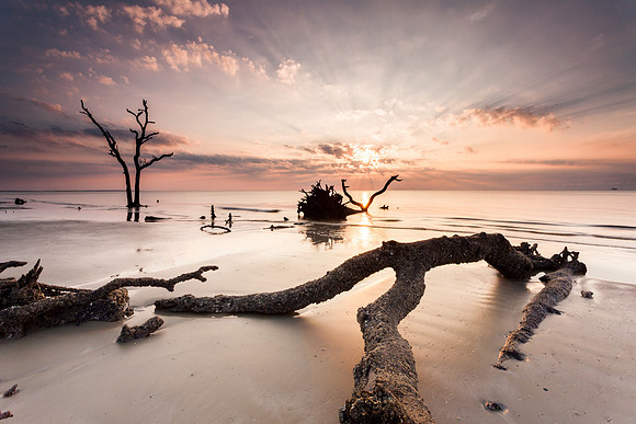Hunting Island State Park