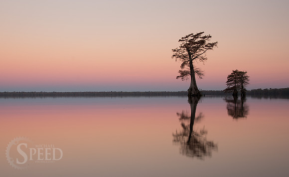 Kayak Trip to Lake Drummond in Great Dismal Swamp