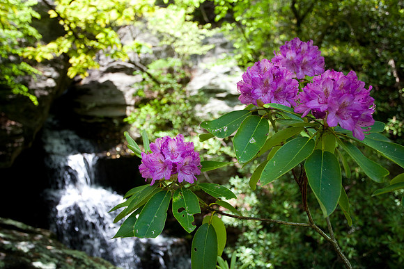 Hanging Rock State