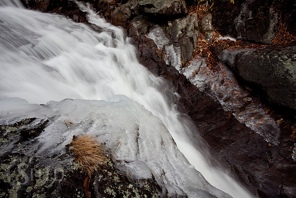 Wilson Creek Ice