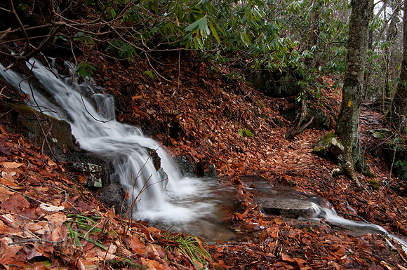 Grayson Highlands State Park