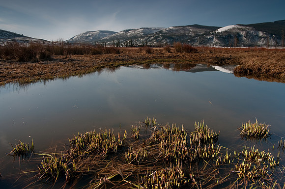 Pond in Lamar Valley