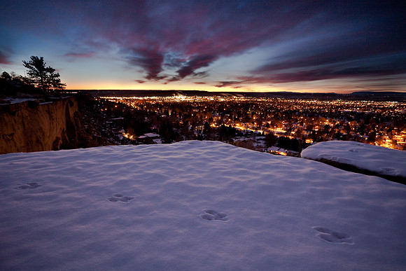 Rabbit tracks on the rimrocks of Billings MT