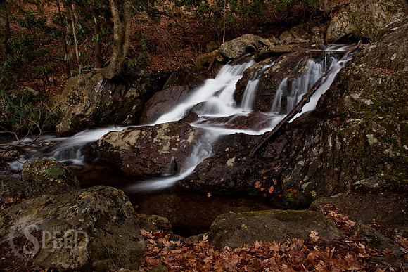 Cabin Creek