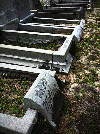 Savannah graveyard