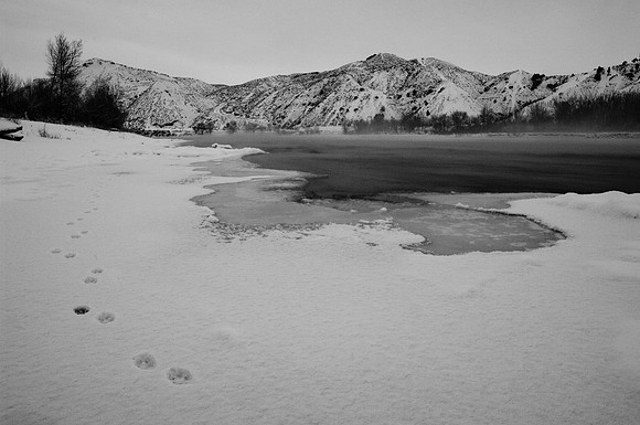 Ice along the Yellowstone River