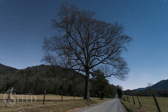 Great Smoky Mountains Winter