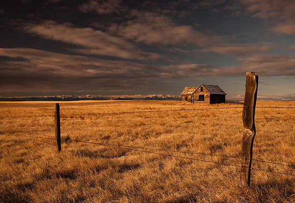 An old homestead near Molt, MT at sunrise.